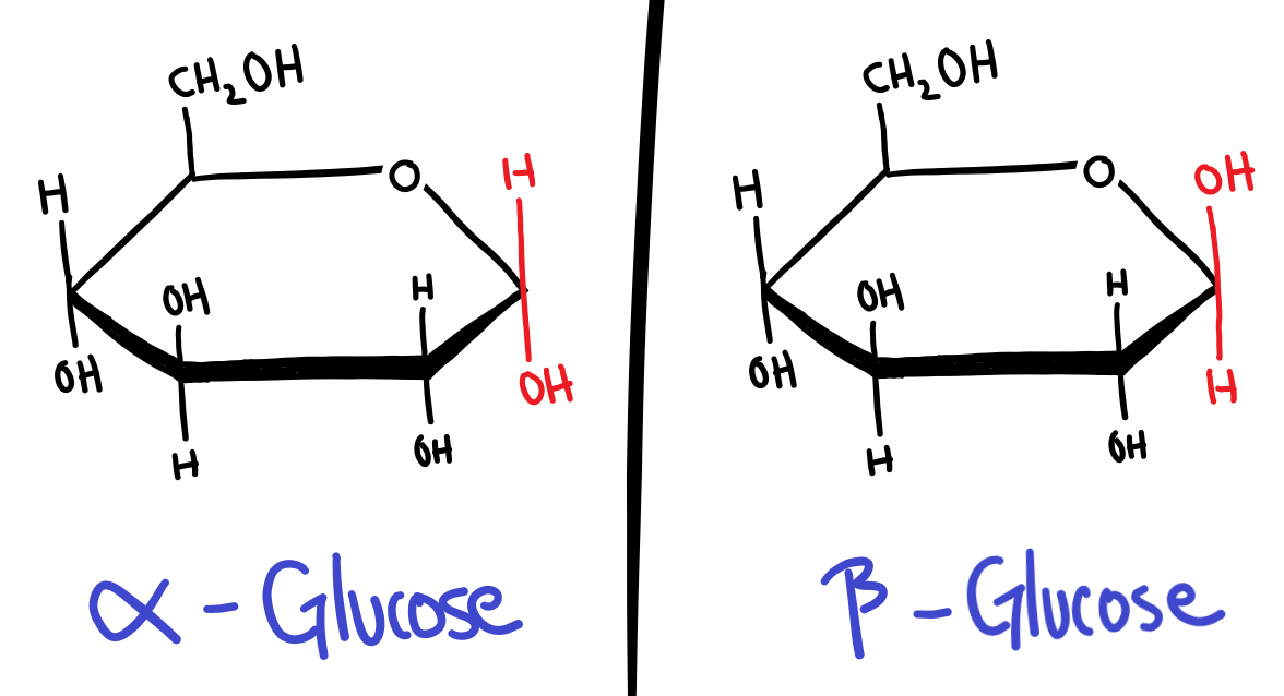 B Stereochemistry In Biomolecules Adevoscience