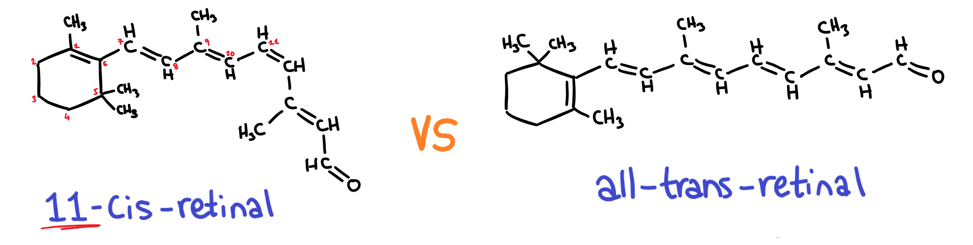 B 10 Stereochemistry In Biomolecules Adevoscience